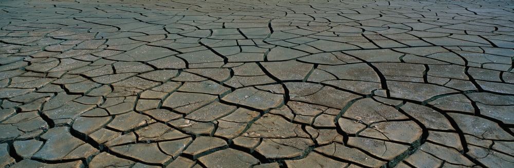 This is a pattern in dry cracked mud Canvas Art - Panoramic Images (27 x 9)