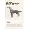 thumbnail image 1 of Pre-Owned This Is the Irish Setter 9780876666555, 1 of 1