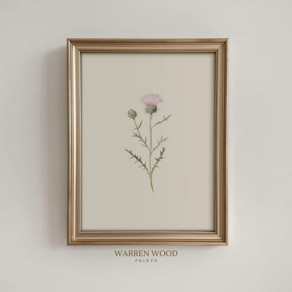 Thistle Flower Print, Soft Pink Botanical Wall Art, Vintage Floral Print, Neutral Country Cottage Decor, Vintage Light Pink Flower Print Home Decor #1306, Stretched Canvas Size 8x12