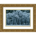 thumbnail image 1 of Thomas, Alain 32x23 Gold Ornate Wood Framed with Double Matting Museum Art Print Titled - Black Oaks Yosemite, 1 of 4