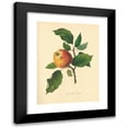 thumbnail image 1 of Thomas Andrew Knight 14x18 Black Modern Framed Museum Art Print Titled - Best Bache (1811), 1 of 5