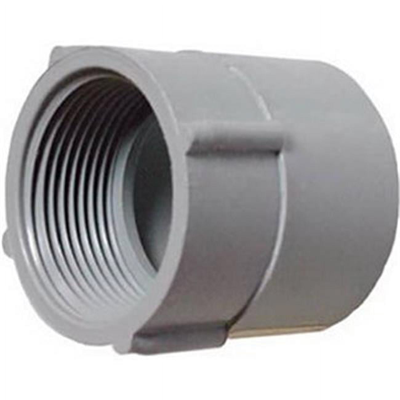 Thomas & Betts E942ER-CTN 0.75 in. PVC Conduit Female Adapter - Walmart.com