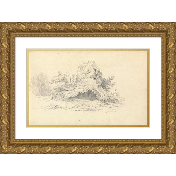 Thomas Bradshaw 18x13 Gold Ornate Wood Frame and Double Matted Museum Art Print Titled - Sketch of Shrubbery
