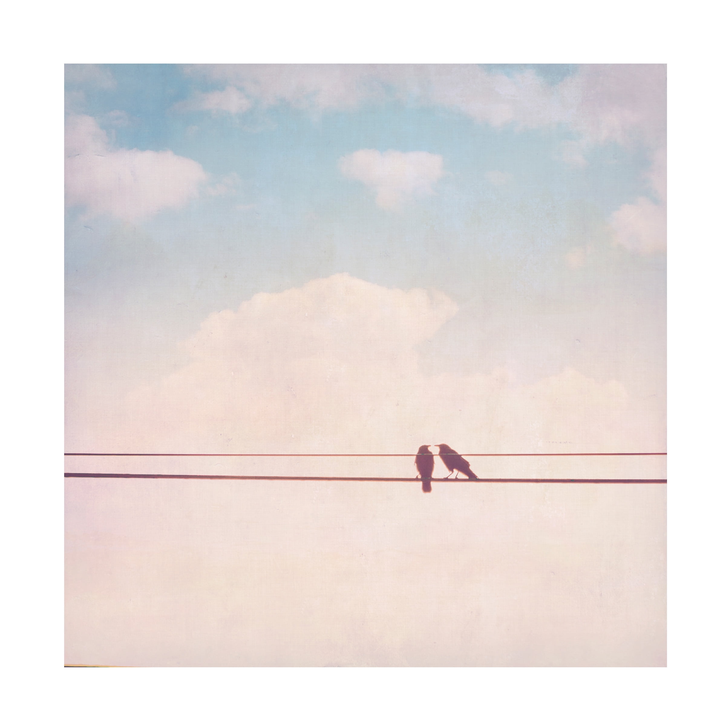 Thomas Brown 'Birds on Wires II' Canvas Art