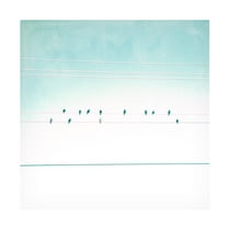 Thomas Brown 'Birds on Wires IV' Canvas Art