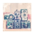 thumbnail image 1 of Thomas Brown 'Vintage Camera II' Canvas Art, 1 of 3