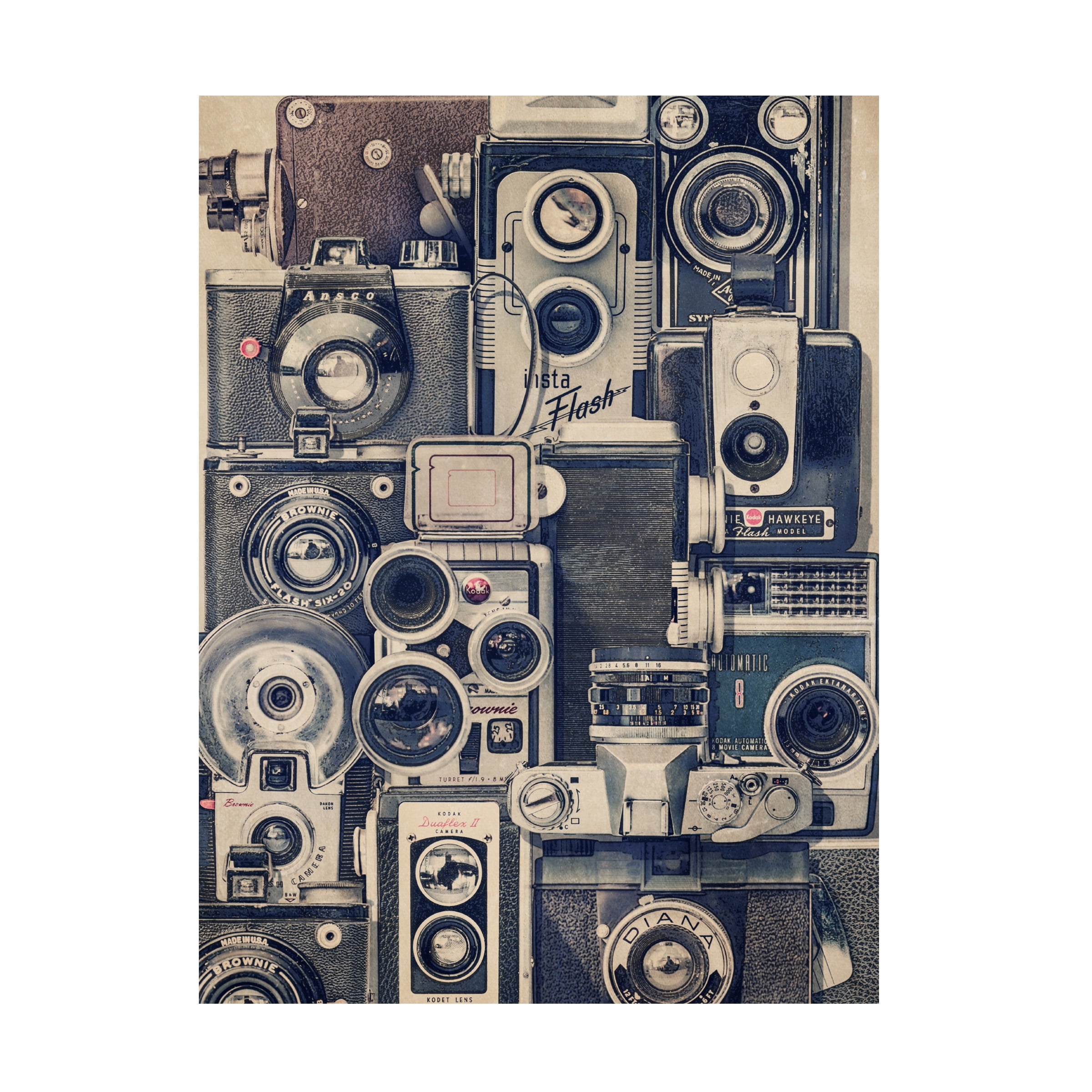 Thomas Brown 'Vintage Cameras' Canvas Art