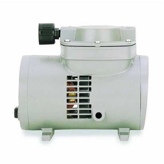 Thomas Compressor Pump,1/15 HP,60 Hz,115V 900-59