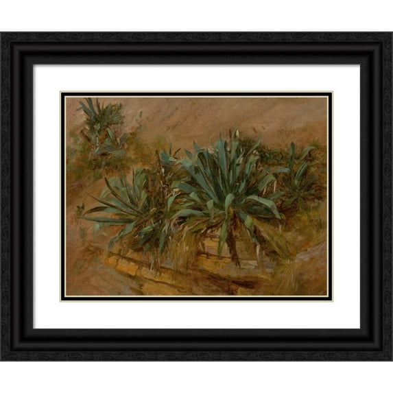 Thomas Hiram Hotchkiss 14x12 Black Ornate Wood Framed Double Matted Museum Art Print Titled: Study of Plants on a Rocky Wall