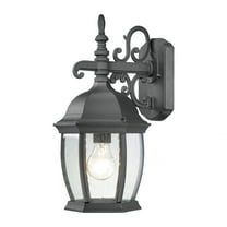 Thomas Lighting - Covington - One Light Outdoor Wall Lantern-Black Finish -