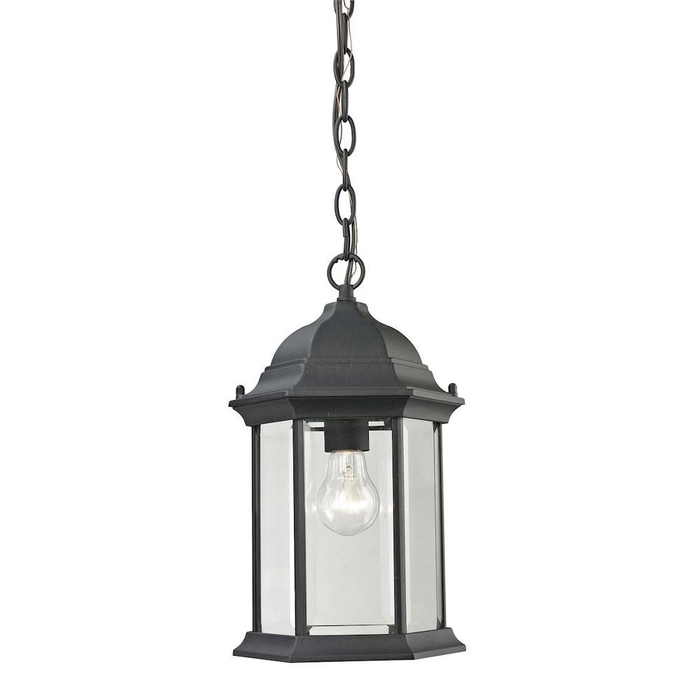 Matte Black Outdoor Pendant Light with Clear Glass Shade