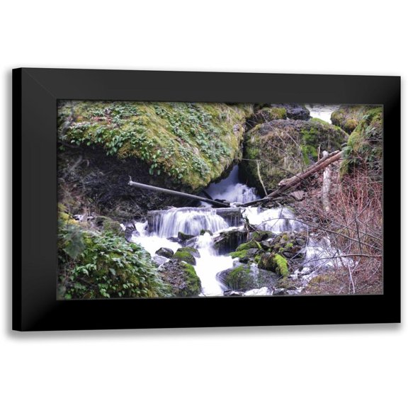 Thomas, Logan 14x11 Black Modern Framed Museum Art Print Titled - Stream Falls VIII