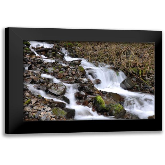 Thomas, Logan 14x11 Black Modern Framed Museum Art Print Titled - Stream Falls V