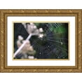 thumbnail image 1 of Thomas, Logan 14x11 Gold Ornate Wood Framed with Double Matting Museum Art Print Titled - Spiderweb II, 1 of 4