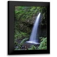 thumbnail image 1 of Thomas, Logan 17x24 Black Modern Framed Museum Art Print Titled - Serene Waterfall, 1 of 5