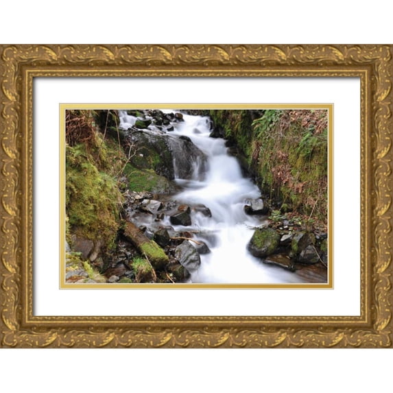 Thomas, Logan 24x17 Gold Ornate Wood Framed with Double Matting Museum Art Print Titled - Stream Falls VII