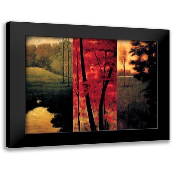 Thomas, Neil 24x19 Black Modern Framed Museum Art Print Titled - Point of View II