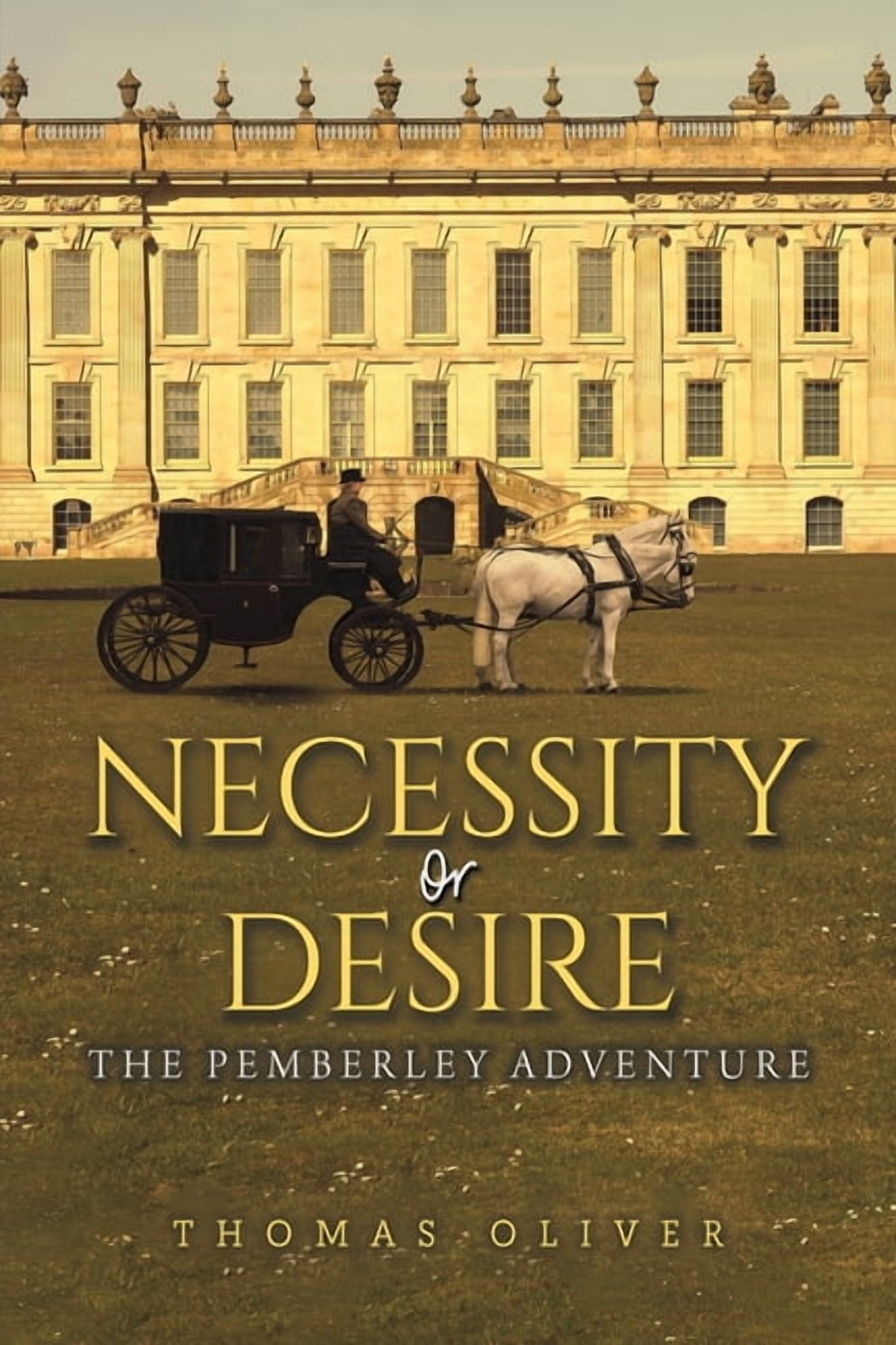 Necessity or Desire, (Paperback)