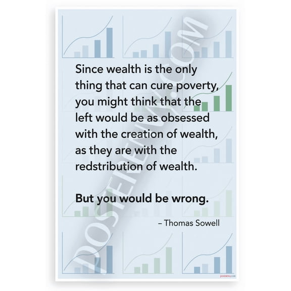 Thomas Sowell "Wealth Cures Poverty" Quote Inspirational 12x18 US Made Poster