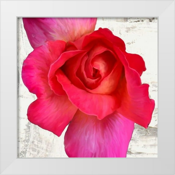 Thomlinson, Jenny 12x12 White Modern Wood Framed Museum Art Print Titled - Spring Roses I