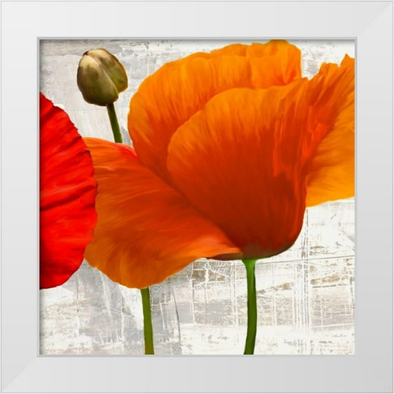 Thomlinson, Jenny 12x12 White Modern Wood Framed Museum Art Print Titled - Summer Poppies II