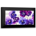 thumbnail image 1 of Thomlinson, Jenny 18x11 Black Modern Framed Museum Art Print Titled - Dance of Pansies, 1 of 5