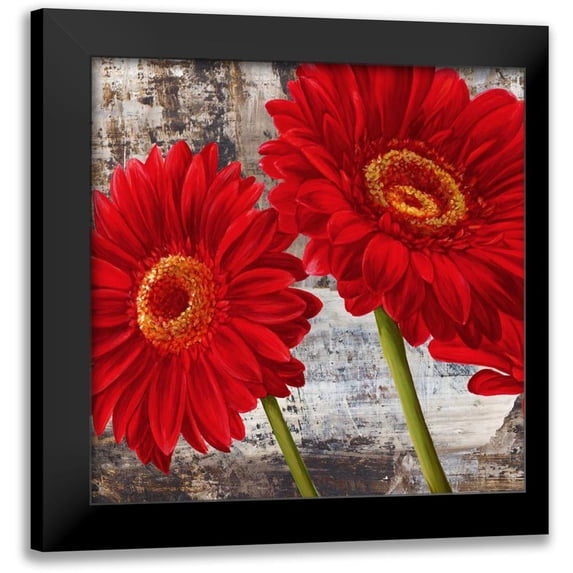 Thomlinson, Jenny 20x20 Black Modern Framed Museum Art Print Titled - Red Gerberas I