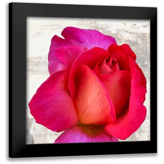 Thomlinson, Jenny 20x20 Black Modern Framed Museum Art Print Titled - Spring Roses III