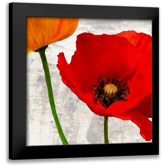 Thomlinson, Jenny 20x20 Black Modern Framed Museum Art Print Titled - Summer Poppies I