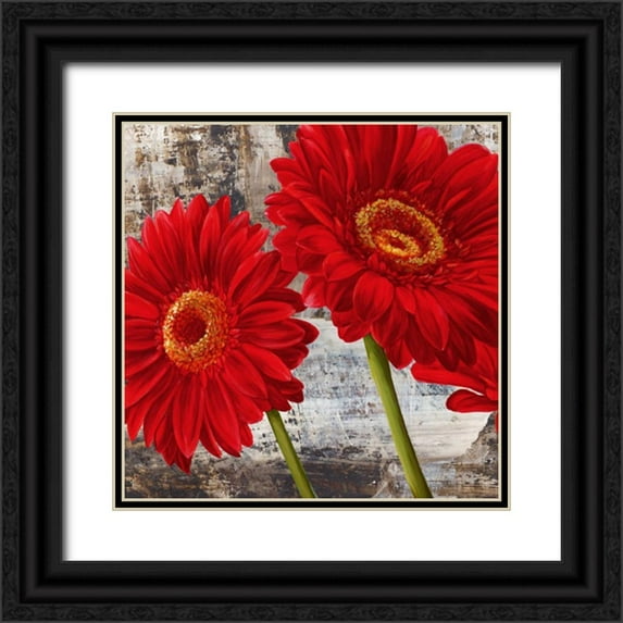 Thomlinson, Jenny 20x20 Black Ornate Wood Framed with Double Matting Museum Art Print Titled - Red Gerberas I