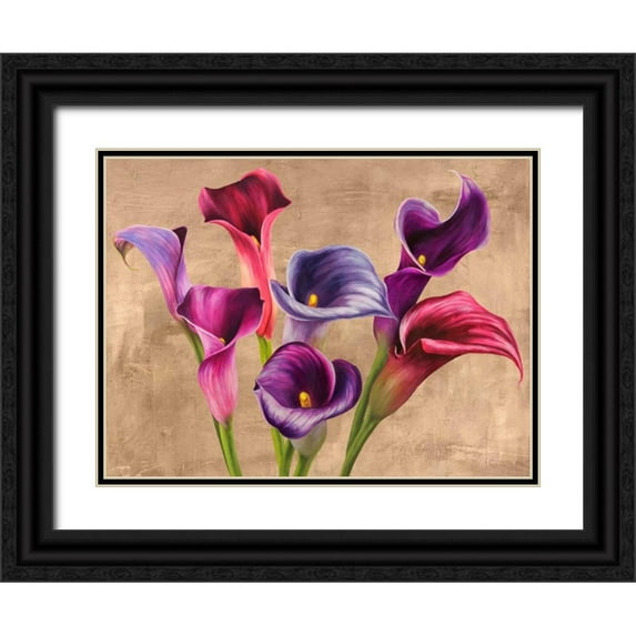 Thomlinson, Jenny 32x25 Black Ornate Wood Framed with Double Matting Museum Art Print Titled - Multi-colored Callas