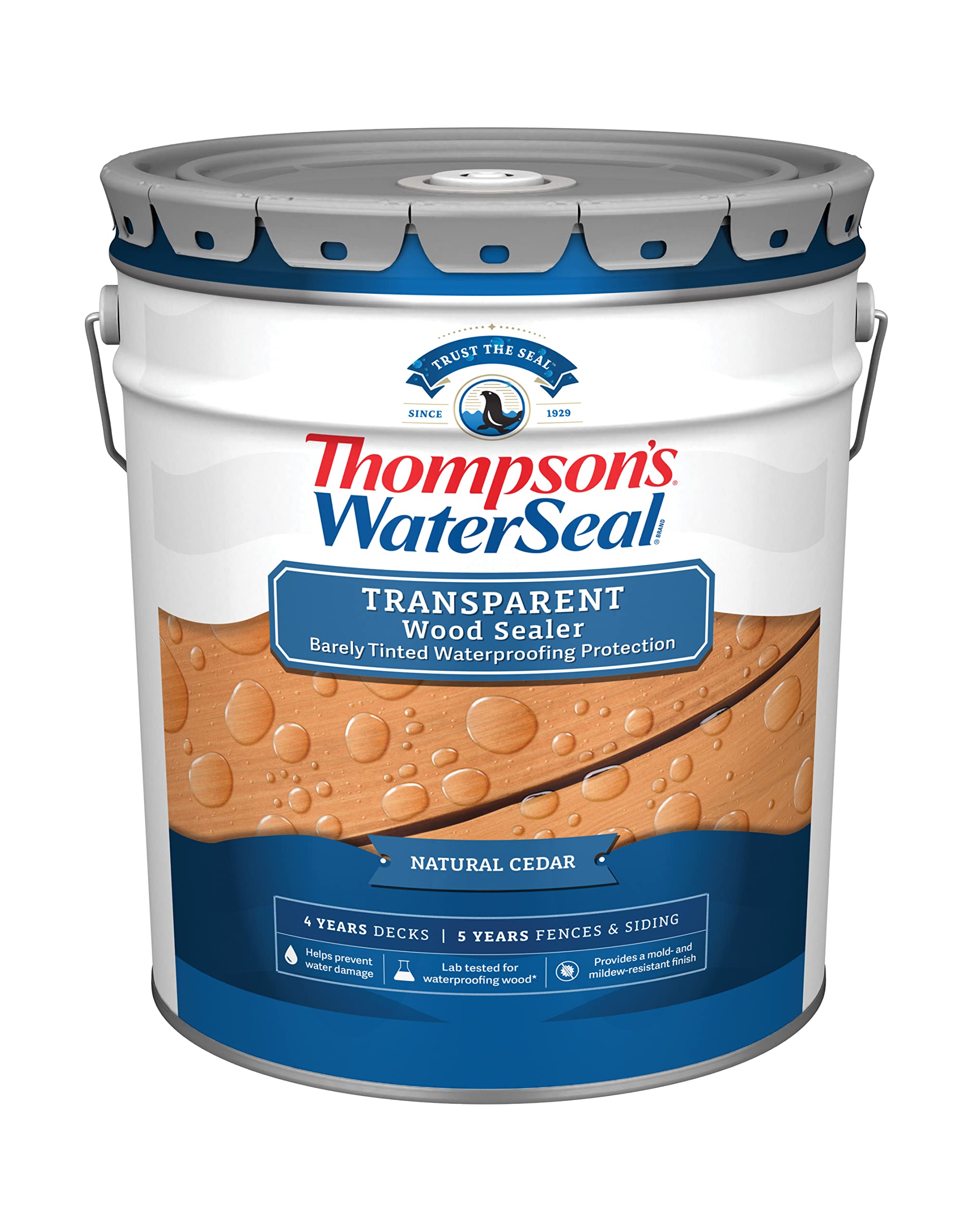 Thompson's Water Seal Transparent Wood Sealer, Natural Cedar, 5 Gallon