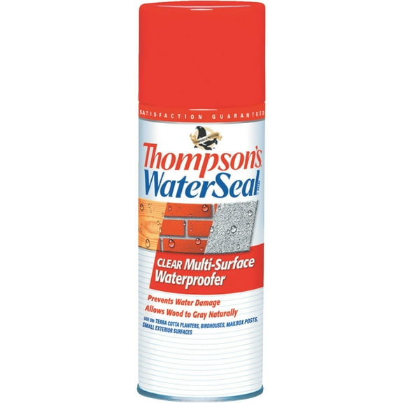 Thompson's WaterSeal Clear Multi-Surface Waterproofer, 11 oz