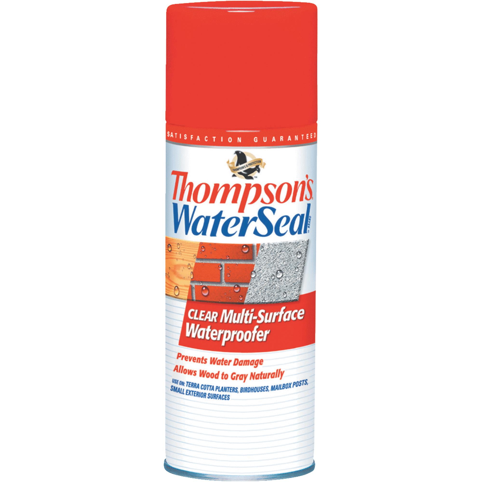 Thompson's WaterSeal Clear Multi-Surface Waterproofer, 11 oz
