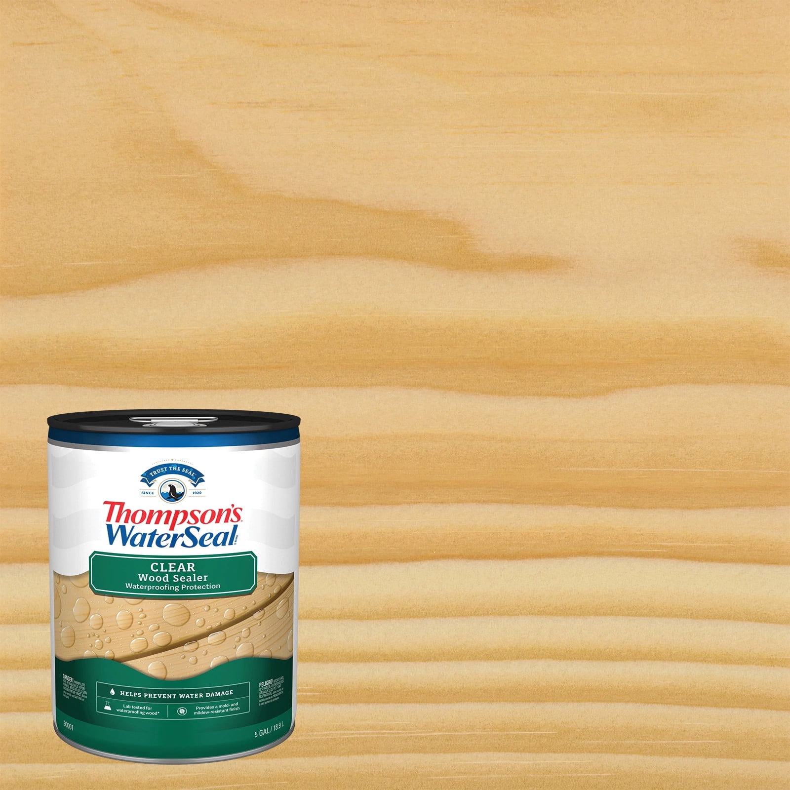Thompson's WaterSeal Clear Wood Sealer, 5 Gallon
