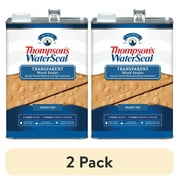 (2 pack) Thompson's WaterSeal TH.091701-16 Transparent Wood Sealer Stain, Desert Tan, 1 Gallon, (1 Piece, 1 Pack)