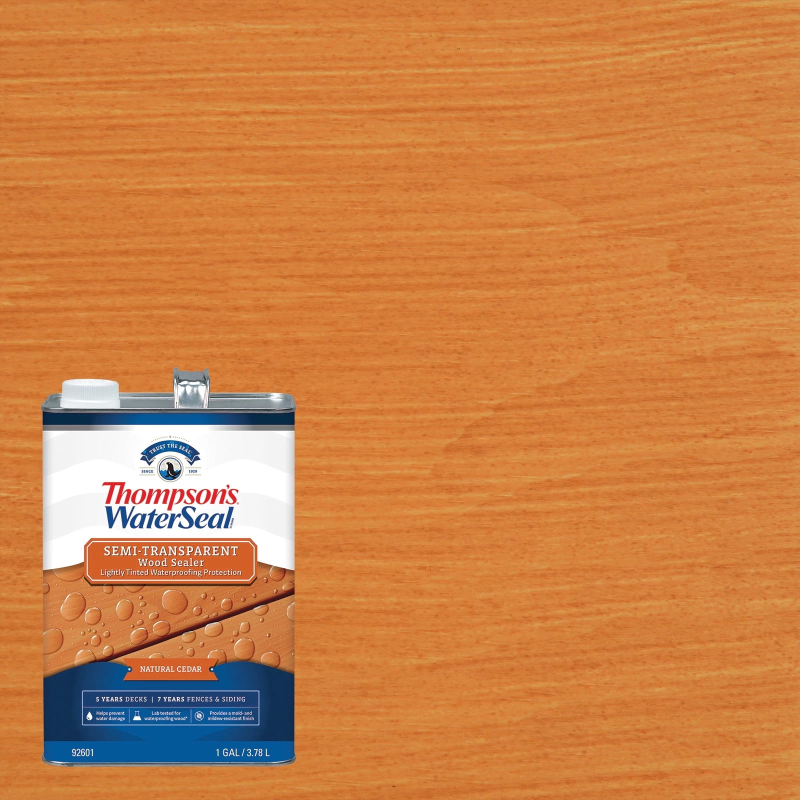 Thompson's WaterSeal Semi-Transparent Natural Cedar Wood Sealer, 1 Gallon