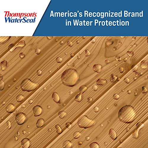 Thompson’s WaterSeal Transparent Waterproofing Wood Stain and Sealer