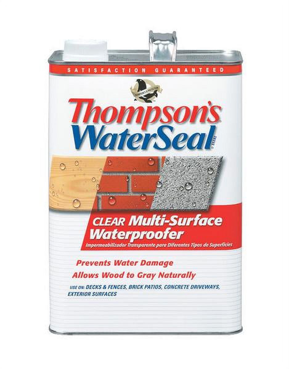 Thompsons Waterseal 24101 1 Gallon Clear Waterseal? MultiSurface