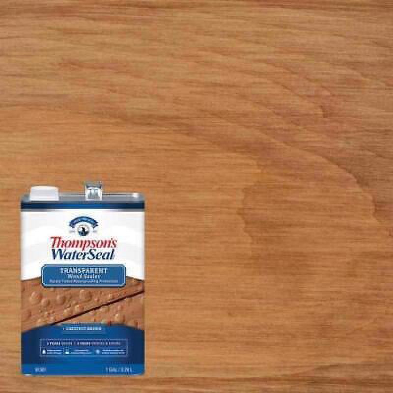 Thompsons Waterseal Thompsons WaterSeal Transparent Chestnut Brown