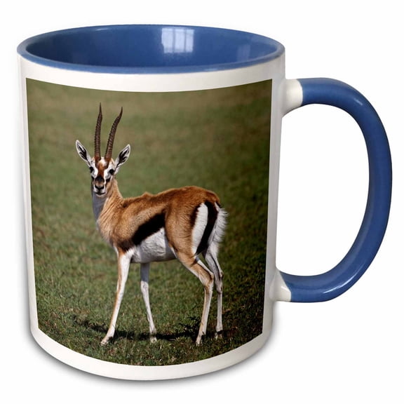 3drose, Thomsons Gazelle Antelope, Maasai Mara, Kenya - Af21 Aje0779 - Adam Jones, 11oz Two-tone Blue Mug