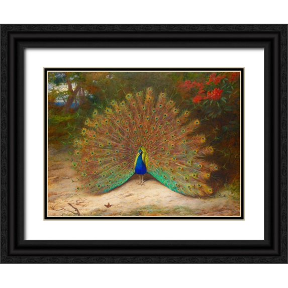 Thorburn, Archibald 14x12 Black Ornate Wood Framed with Double Matting Museum Art Print Titled - Peacock and Peacock Butterfly