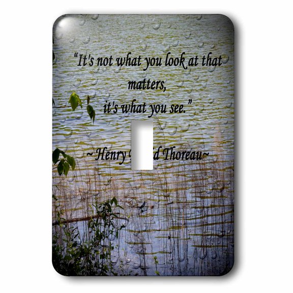 3dRose, Thoreau Quote A lake scene photo with a Thoreau quote, single toggle switch