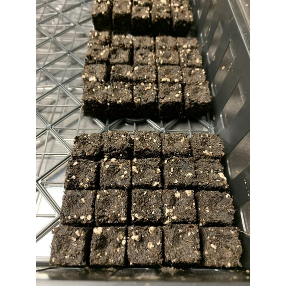 Thorn Farms Seed Starter Blocks for 20 Seeds
