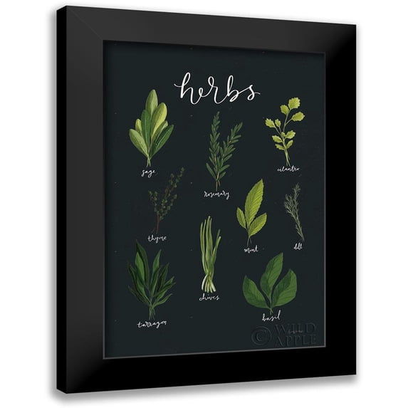 Thorns, Becky 11x14 Black Modern Framed Museum Art Print Titled - Herbs I Black