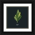 thumbnail image 1 of Thorns, Becky 15x15 Black Ornate Wood Framed with Double Matting Museum Art Print Titled - Herbs II Black, 1 of 4