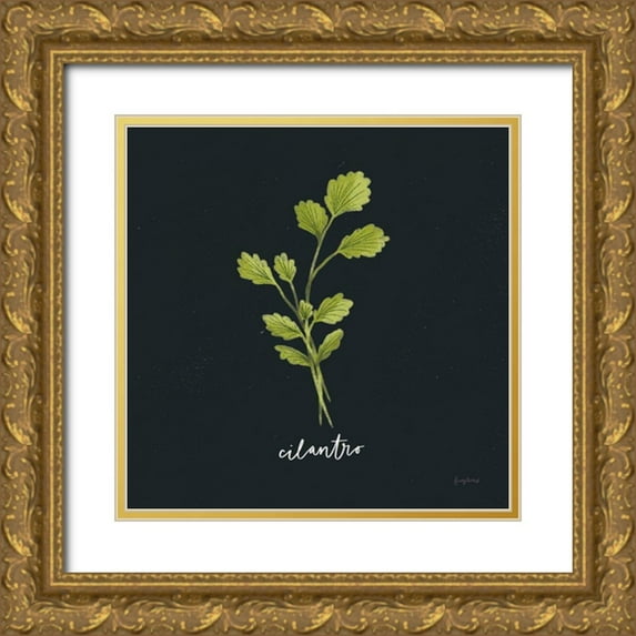 Thorns, Becky 15x15 Gold Ornate Wood Framed with Double Matting Museum Art Print Titled - Herbs IV Black