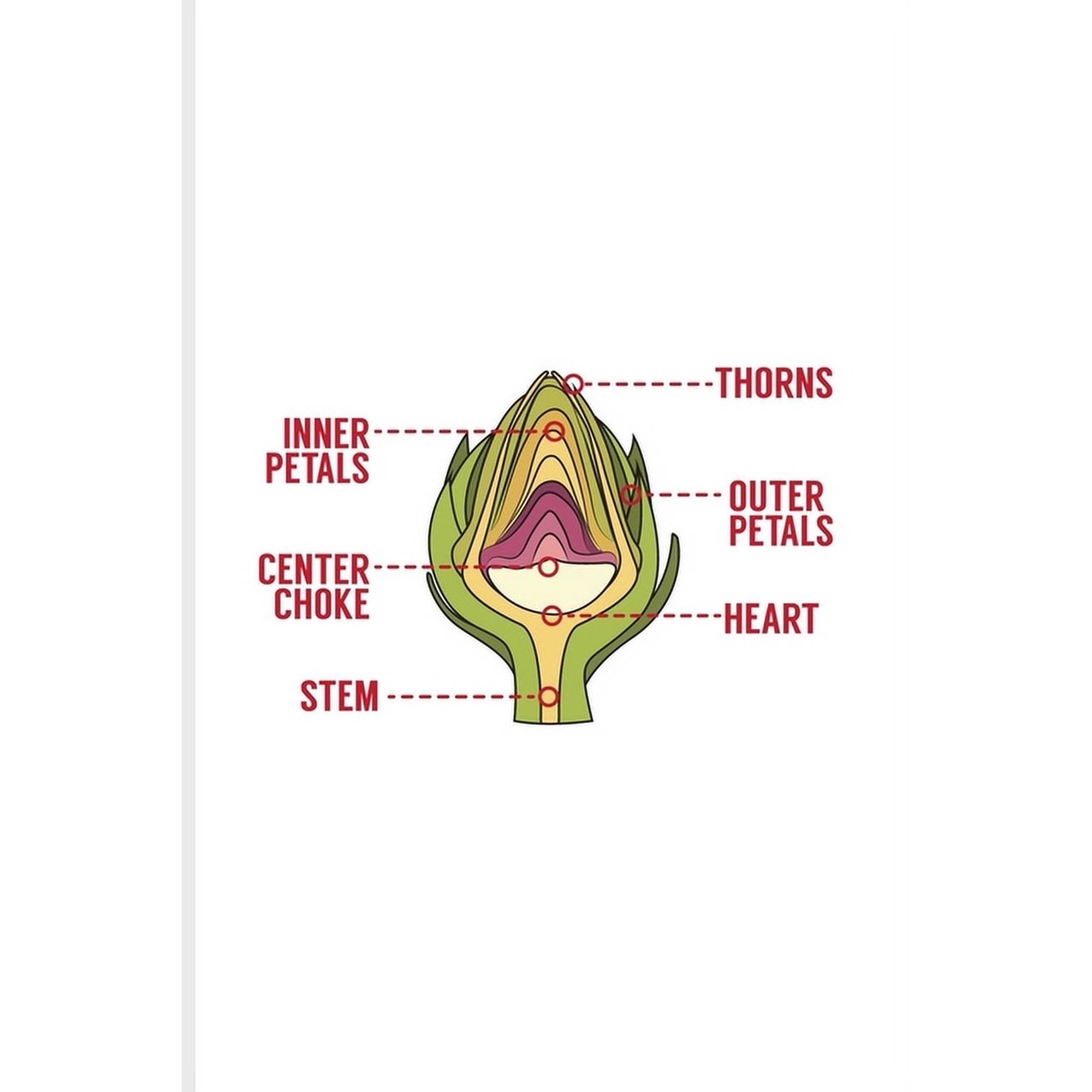 Artichoke Hearts Book