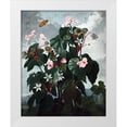 thumbnail image 1 of Thornton, Dr R 12x14 White Modern Wood Framed Museum Art Print Titled - Begonia, 1 of 4