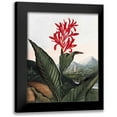 thumbnail image 1 of Thornton, Dr R 15x18 Black Modern Framed Museum Art Print Titled - Indian Reed, 1 of 5
